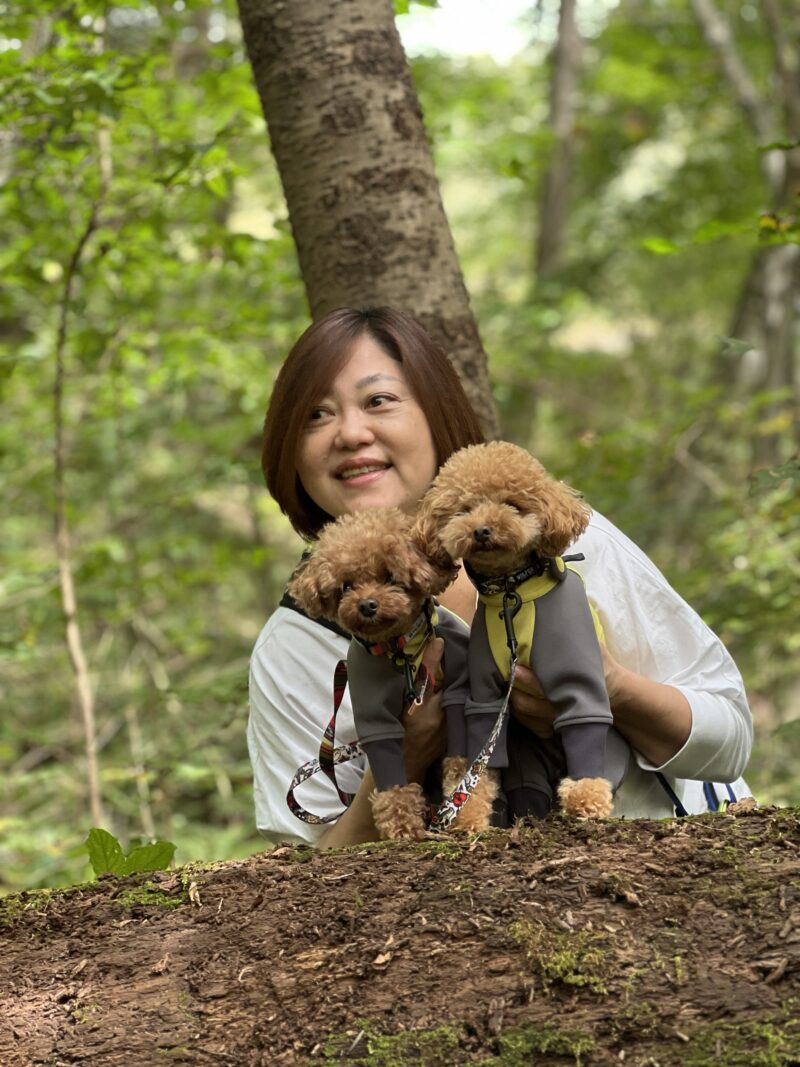 Dog Care Malacaite